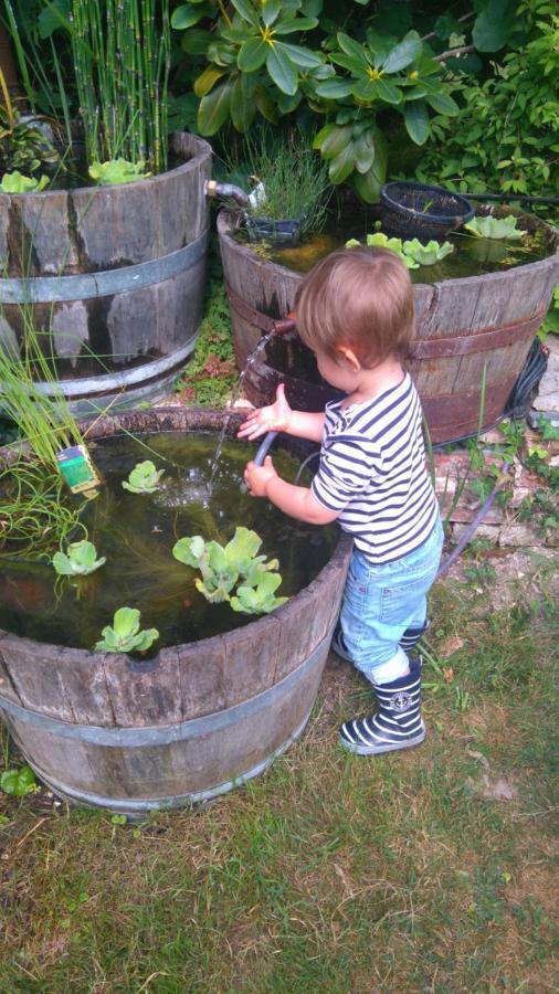 Demuin Le Jardin Des Ecureuils酒店 外观 照片